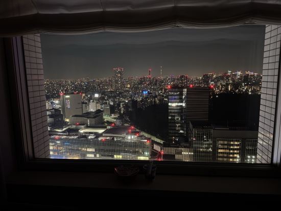 小田急ホテルセンチュリーサザンタワー クーポン