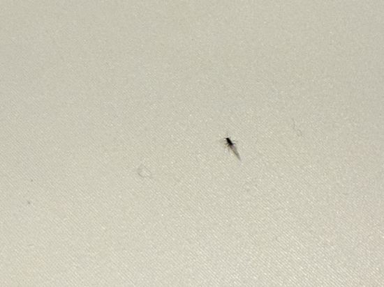 北京富力萬麗酒店優惠