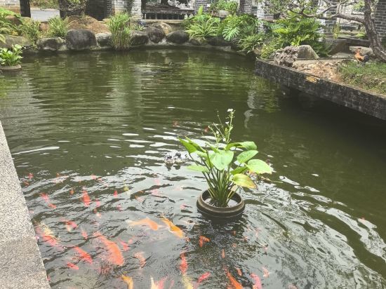 德景山莊（陽朔灕江店）優惠