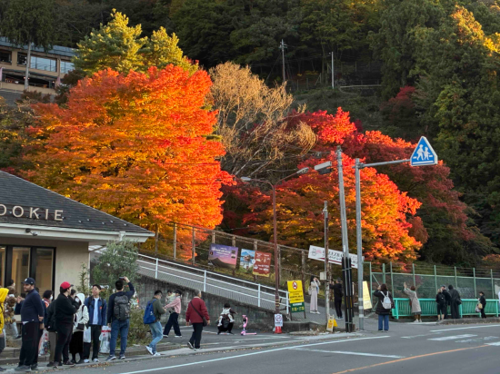 河口湖布瑞百湖度假飯店優惠
