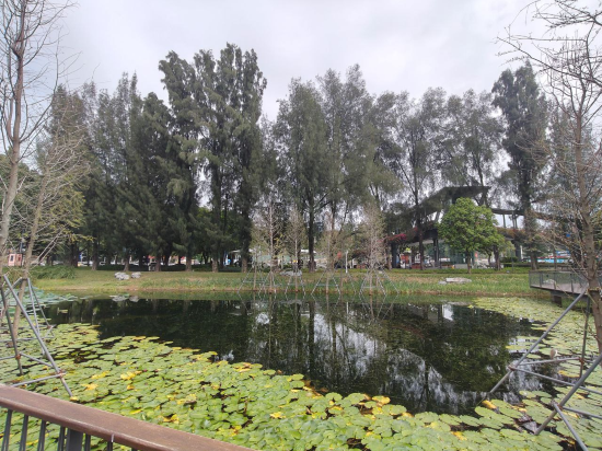 深圳南山希爾頓逸林酒店及公寓優惠