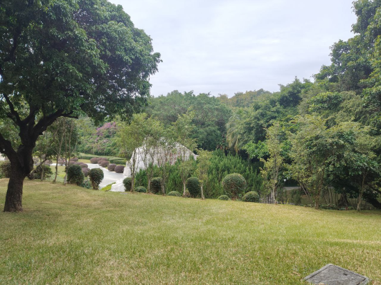 深圳南山希爾頓逸林酒店及公寓優惠