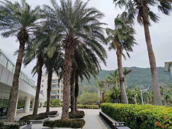 珠海格力東澳大酒店優惠