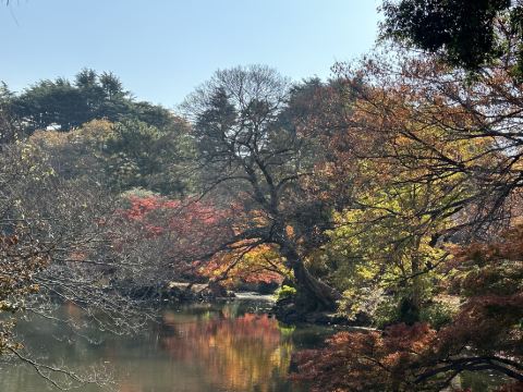 秋葉原ワシントンホテル クーポン
