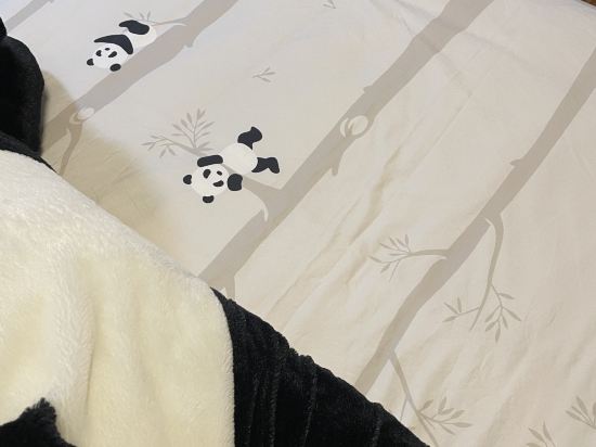 白浜の宿　醍醐 クーポン