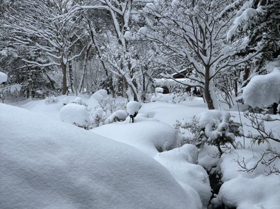 松宝苑（しょうほうえん） クーポン