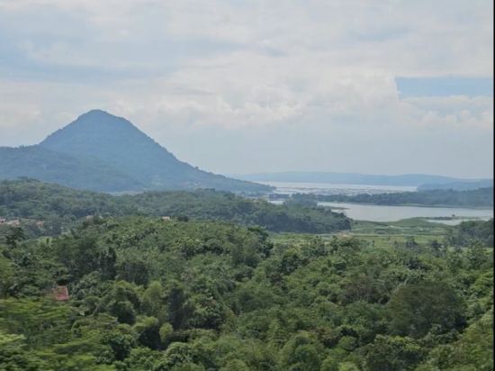 阿斯頓 Tropicana優惠
