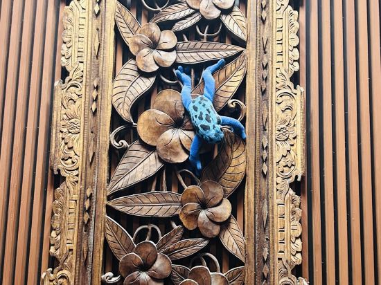 アンダリゾート伊豆高原 クーポン