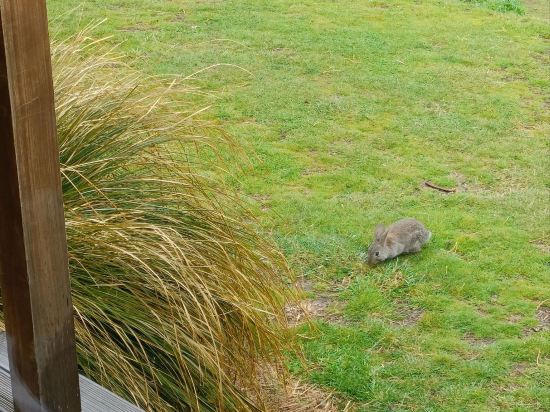 特卡波湖汽車旅館和假日公園優惠