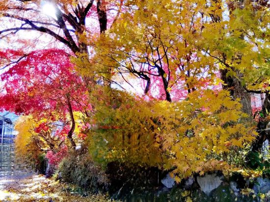 UNIZO旅館-金澤百萬石通優惠