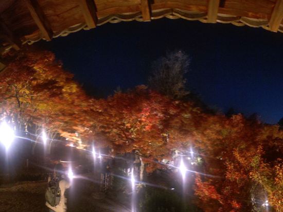 天然温泉　花蛍の湯　ドーミーインＰＲＥＭＩＵＭ京都駅前 クーポン