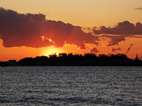 ホテルマイグラント クーポン