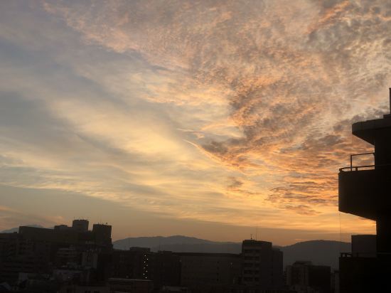 京都第一ホテル 京都駅八条口 (全室禁煙) クーポン
