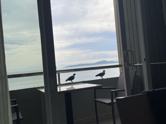 芭堤雅皇家克里夫海灘酒店 （SHA Extra Plus）優惠