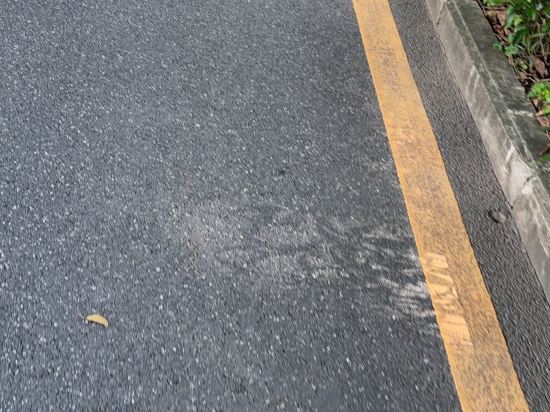 廣州珠江新城麗舍國際公寓優惠