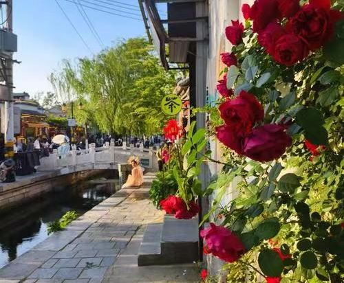 桔子酒店（濟南泉城廣場店）優惠