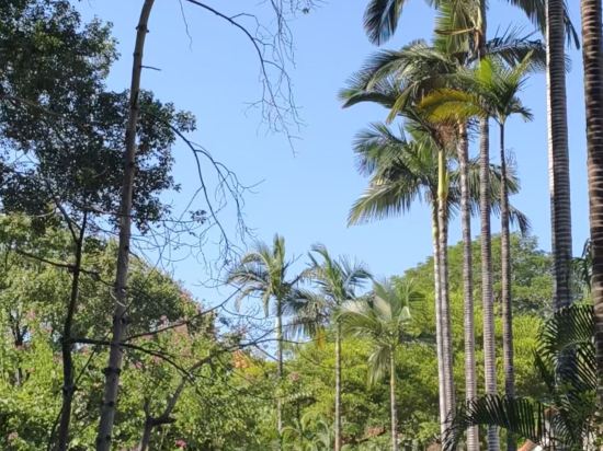 橋頭三正半山飯店優惠