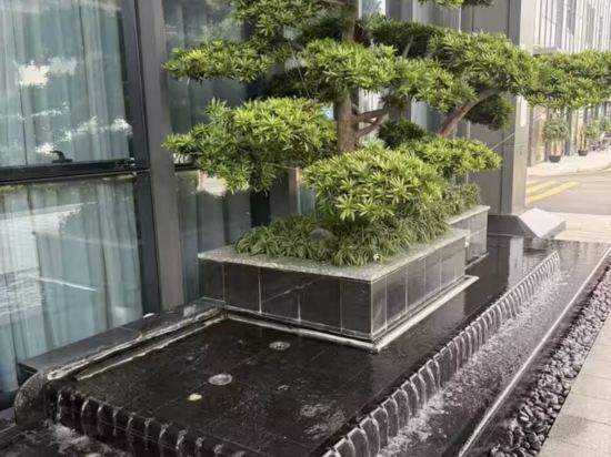 深圳龍華清湖希爾頓歡朋飯店優惠