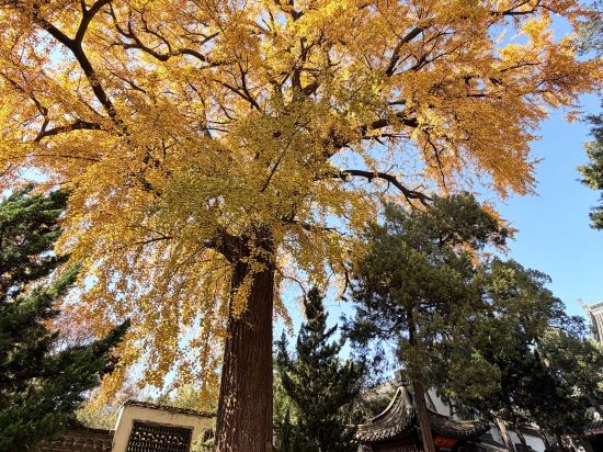 秋果酒店（深圳車公廟上沙地鐵站店）優惠