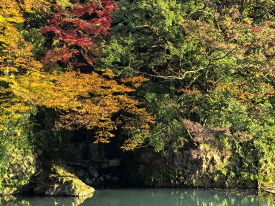 【箱根湯本駅徒歩3分★OPEN★箱根最安】川のせせらぎを楽しめるお宿「箱根湯本 春夏秋冬」 クーポン