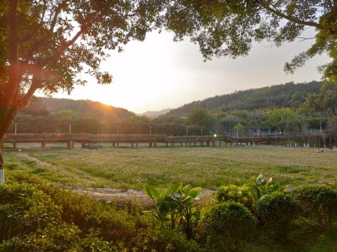 雲浮迎賓館優惠