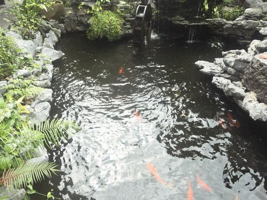 英德湞陽峽醴泉度假酒店優惠