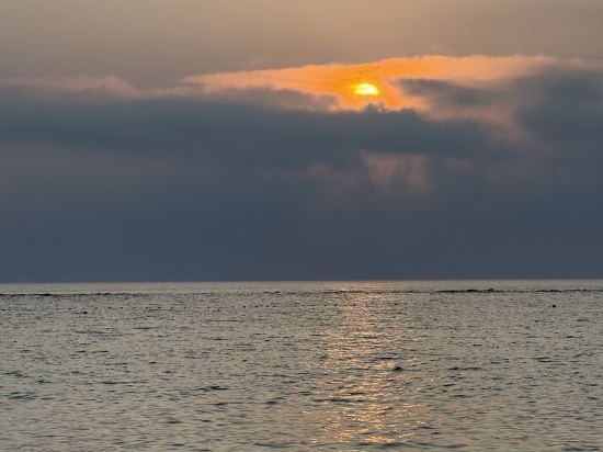 紀州・白浜温泉 むさし クーポン
