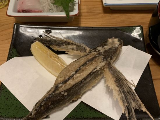 民宿 屋久島 クーポン