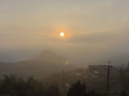 阿里山梅園樓觀景飯店優惠