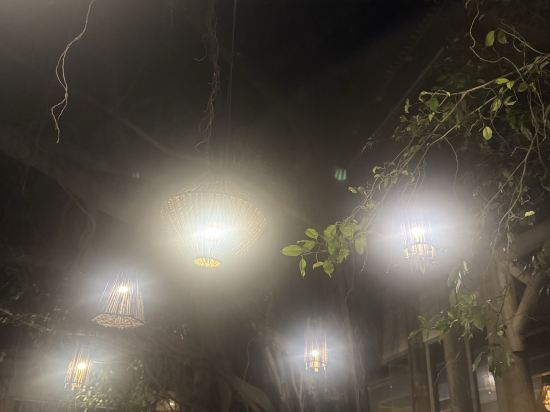 西貢河安瀾利特利茲飯店優惠