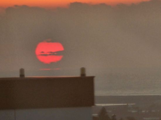 베니키아 중문호텔 쿠폰