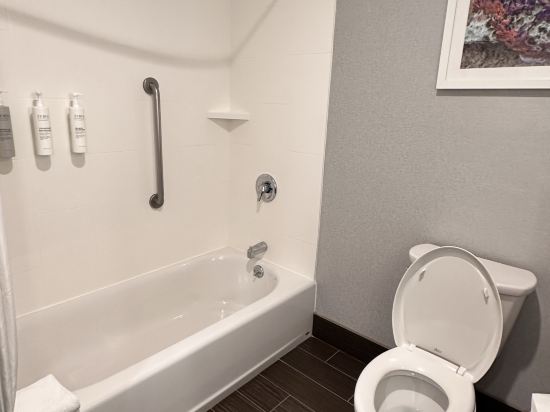 阿納海姆度假村會議中心歡朋套房酒店優惠