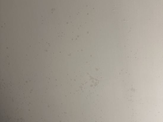 Single Inn 單人房（新北台北館）優惠