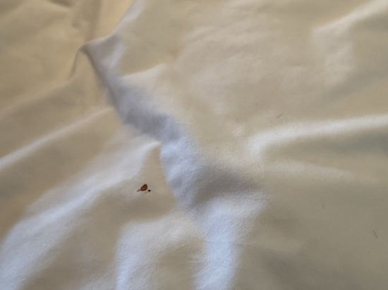 阿姆斯特丹斯勞特戴克站美居酒店優惠