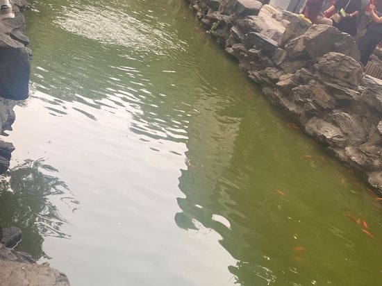 港灣國際公寓（北京東直門三里屯店）優惠