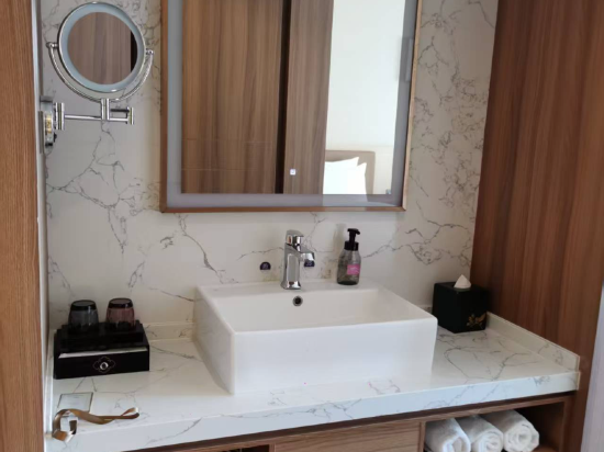 麗呈朗譽飯店（深圳龍崗中心大運新城店）優惠