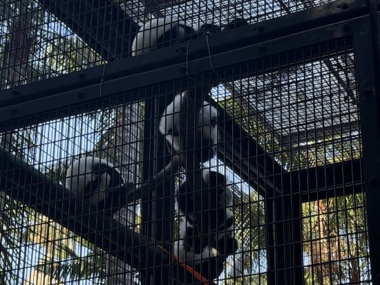 香港文華東方酒店優惠