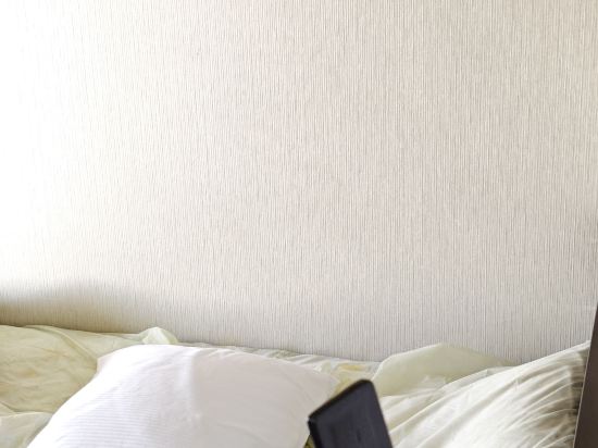 東京有明大和ROYNET酒店優惠