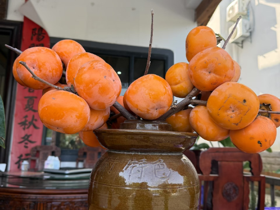 維也納酒店（羅湖口岸國貿地鐵站店）優惠