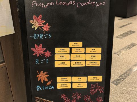 ダイワロイネットホテル京都四条烏丸 クーポン