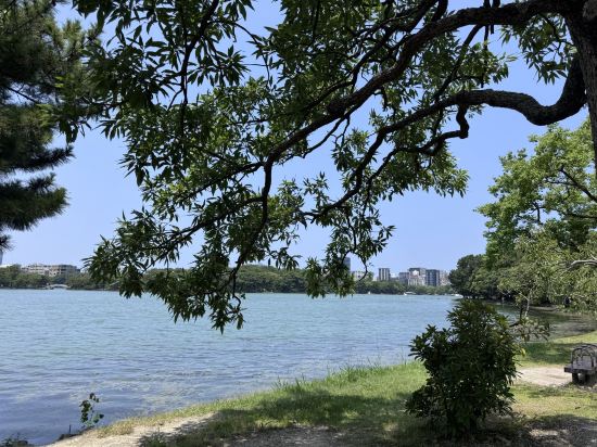 ホテルクリオコート博多 クーポン