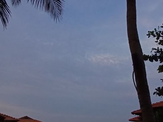 迪克森海中天港口優惠