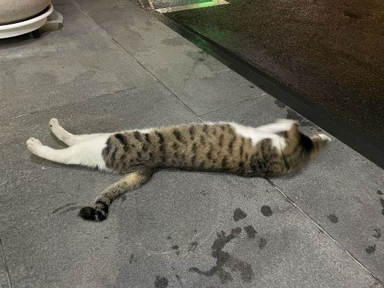 경주 지지 관광호텔 쿠폰