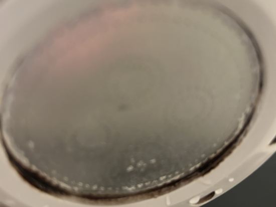 MYSTAYS 蒲田酒店優惠