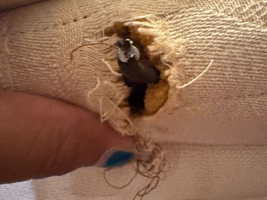 最佳盛品飯店（香港尖沙咀店）（貝斯特韋斯特飯店）優惠