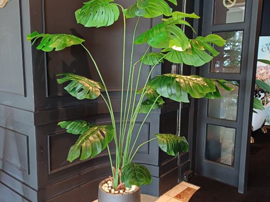 花蓮壽豐遠雄悅來大飯店優惠