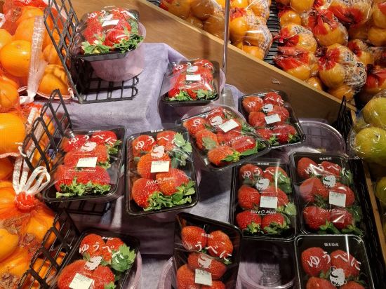 ARK飯店熊本城前店優惠