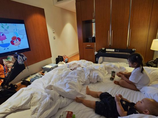 羚羊機場酒店 - 僅限轉機優惠