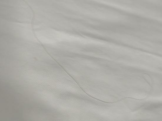 娜娜站皇冠飯店優惠