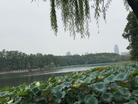 武漢翠柳村客舍優惠